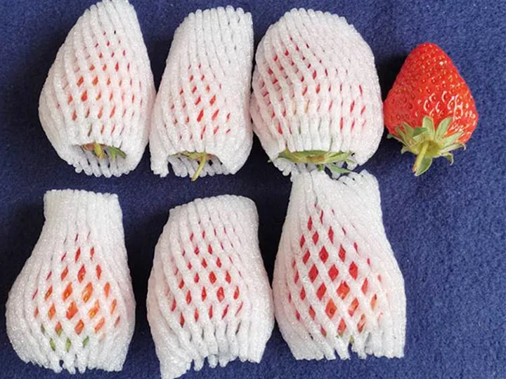 fruit packaging foam