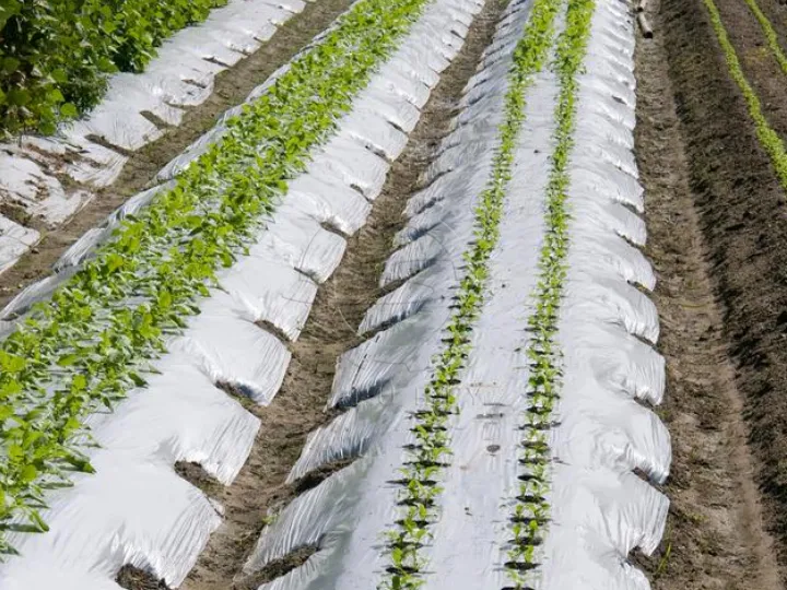agricultural film